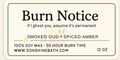 Burn Notice